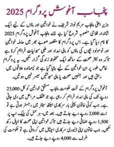 🌸 CM Punjab Aghosh Program 2025 || Financial Support for Women and Mothers in Punjab, sakewf.site