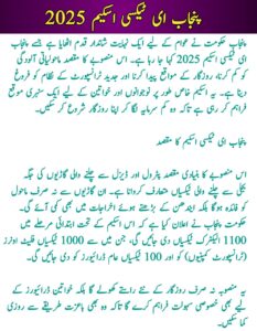 Punjab E-Taxi Scheme 2025 || Online Registration, Eligibility, and Benefits, sakewf.site