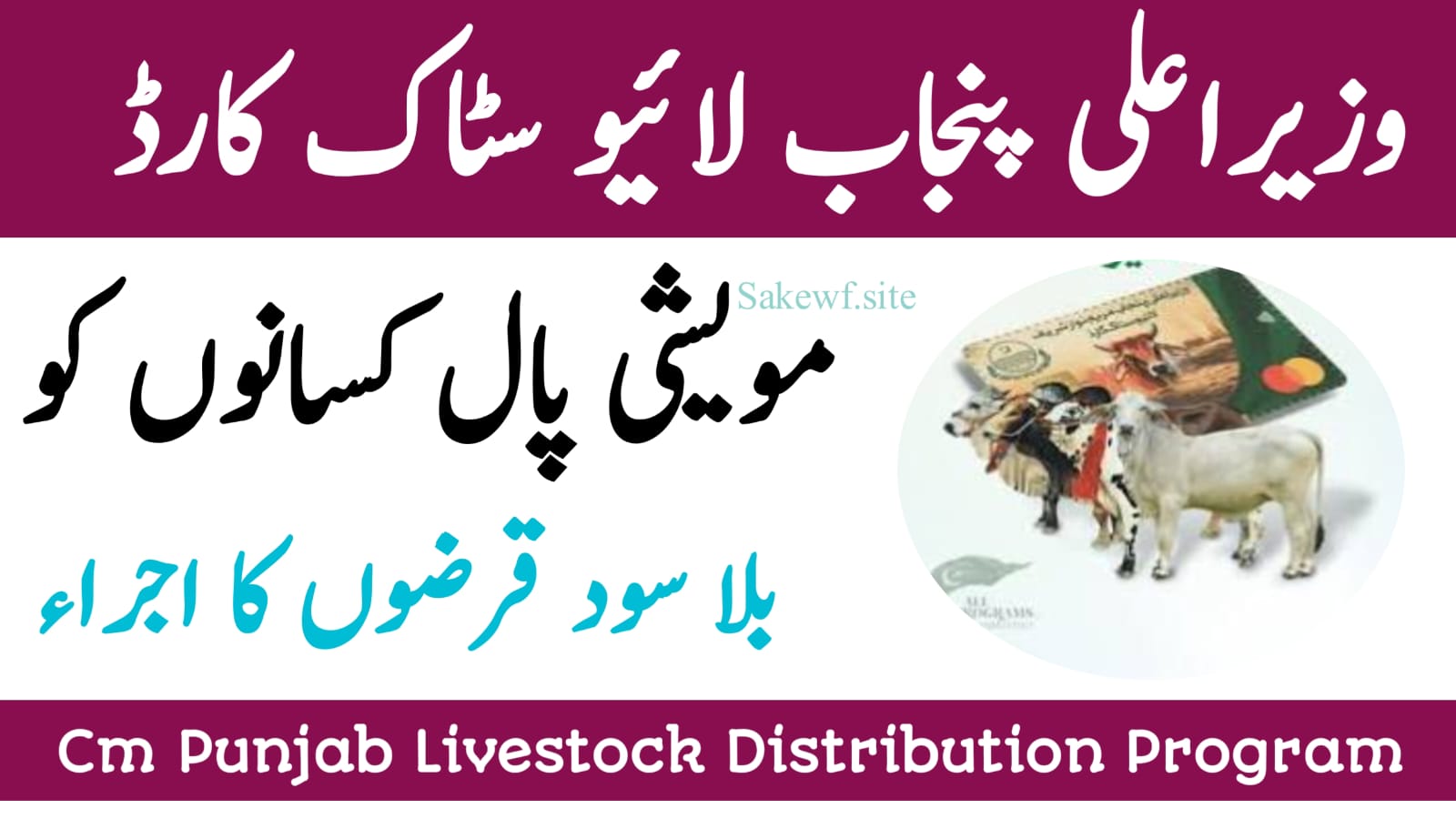 CM Punjab Livestock Card Scheme 2025 || Interest-Free Loans for Farmers to Boost Dairy and Meat Production, sakewf.site