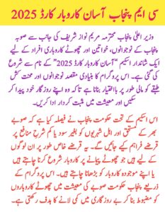 CM Punjab Asaan Karobar Card 2025 || Apply Online for Interest-Free Business Loan in Punjab, sakewf.site