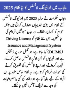 Punjab Driving License New System 2025: Complete Guide for Applicants, sakewf.site