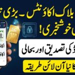BISP CNIC Verification for Blocked Accounts