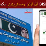 Benazir Kafaalat Program Online Registration Check 2026