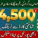 BISP 8171 Check Online 2026: Complete Step-by-Step Payment Guide