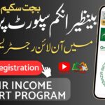 BISP Savings Scheme Account Online Apply Complete Process Guide